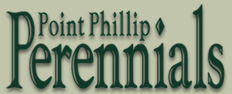 Point Phillip Perennials